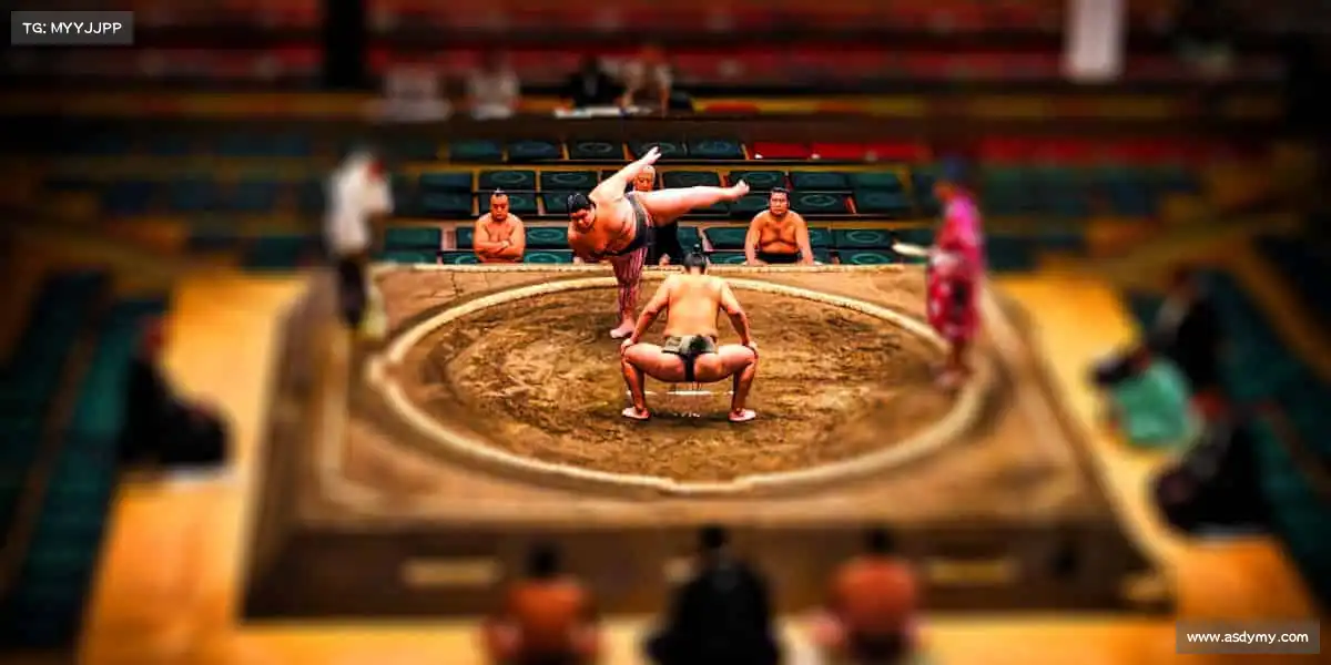 行业领先的理由